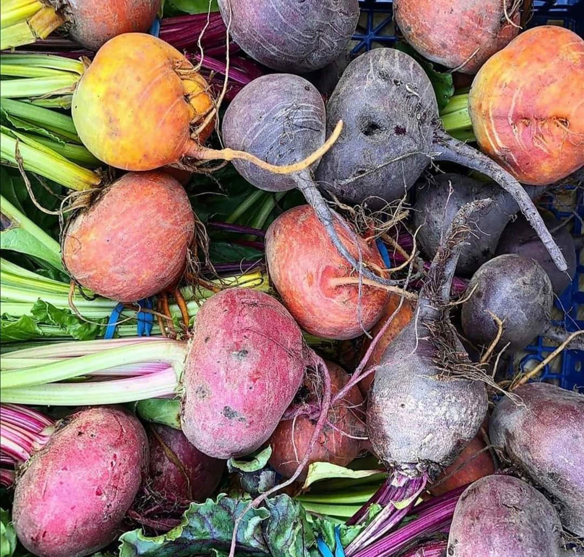 Beetroot Box